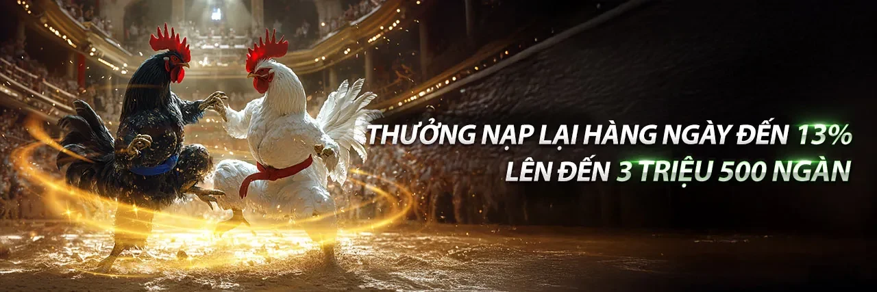 Đá gà GH88 - Đấu trường cá cược đá gà trực tuyến hấp dẫn